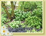 StValery_LLA_14.05.2015 (34)
